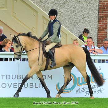 royal dublin horse show